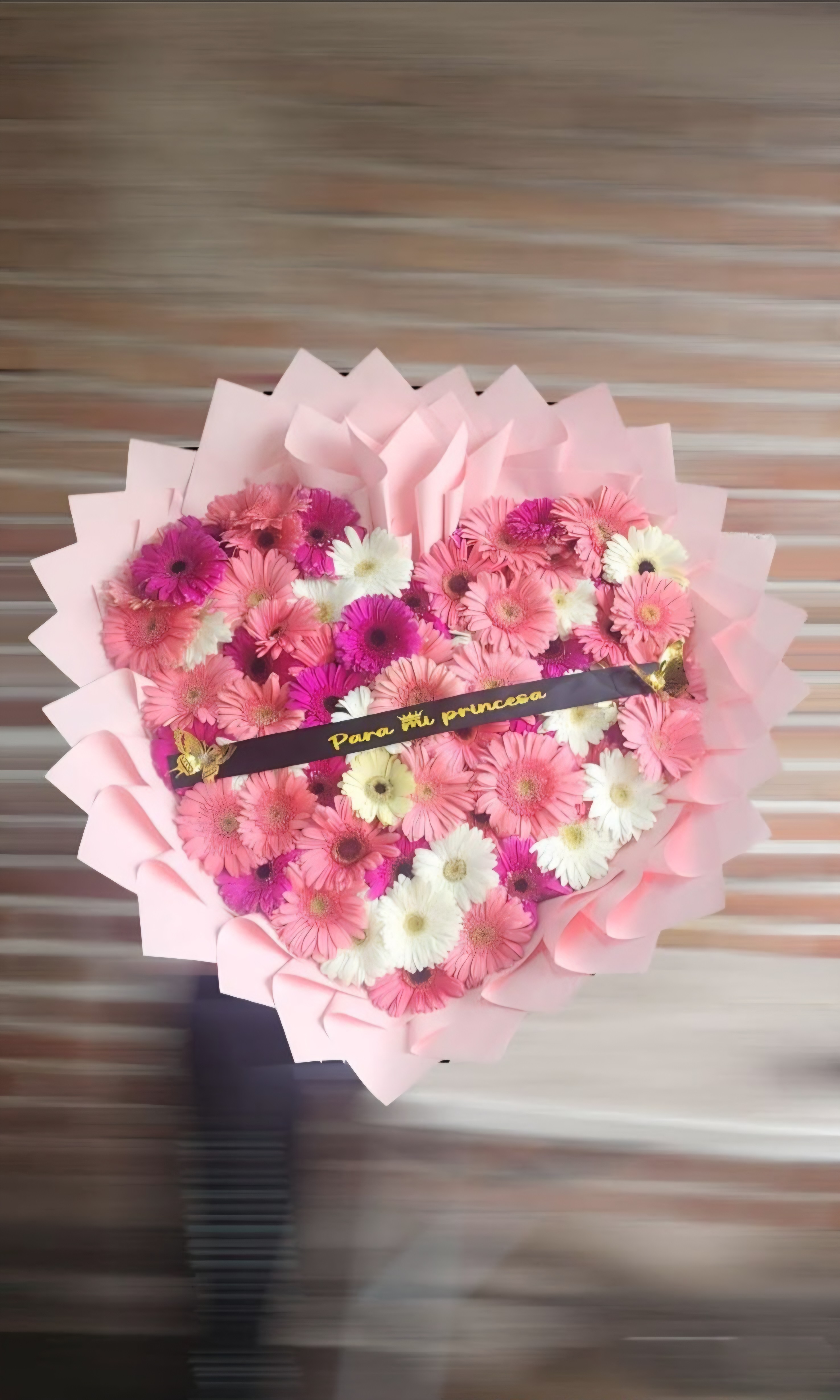 50 gerberas rosa corazon, liston