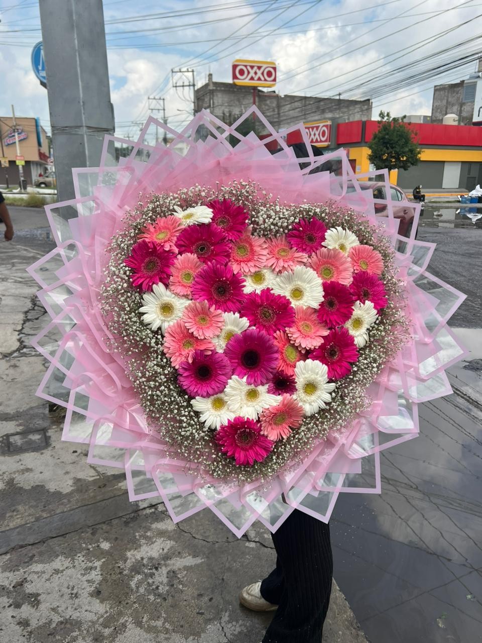 50 gerbera rosa corazon, guipsofilia