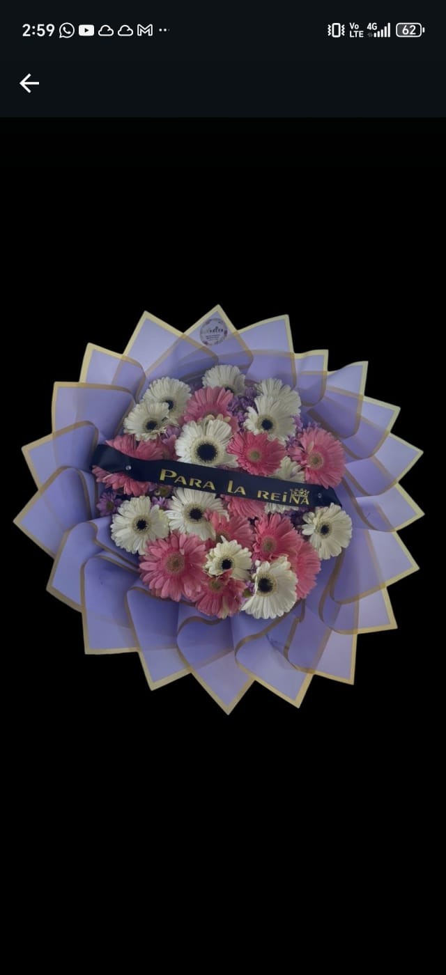 25 gerbera rasa liston