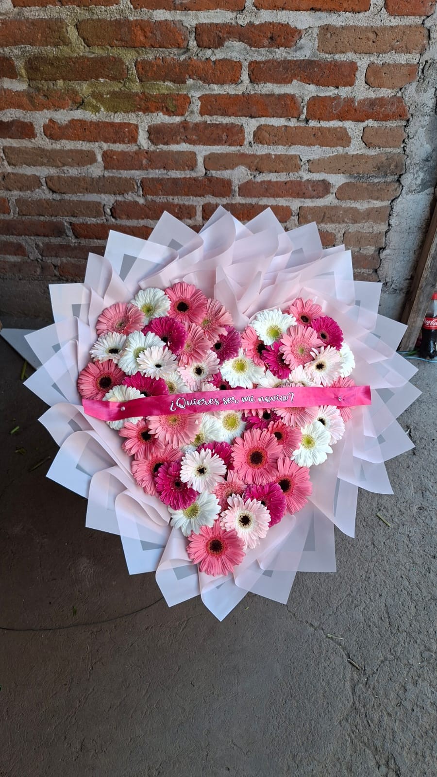 50 gerbera rosa liston