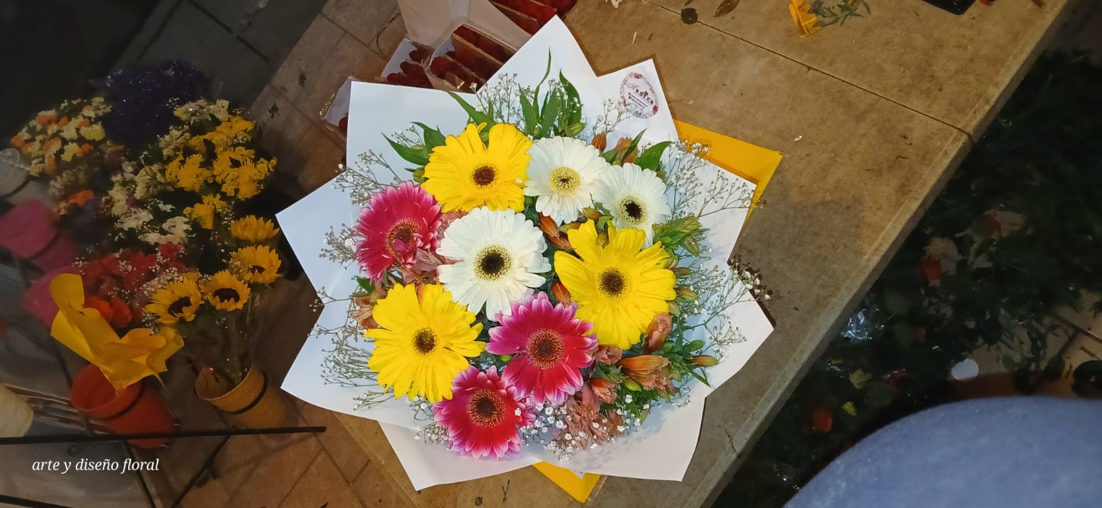 10 gerbera color