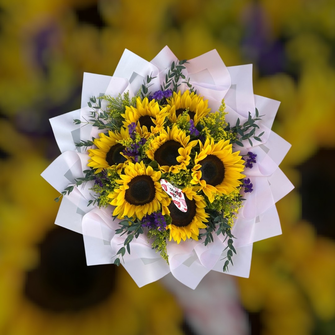 Ramk 8 girasol