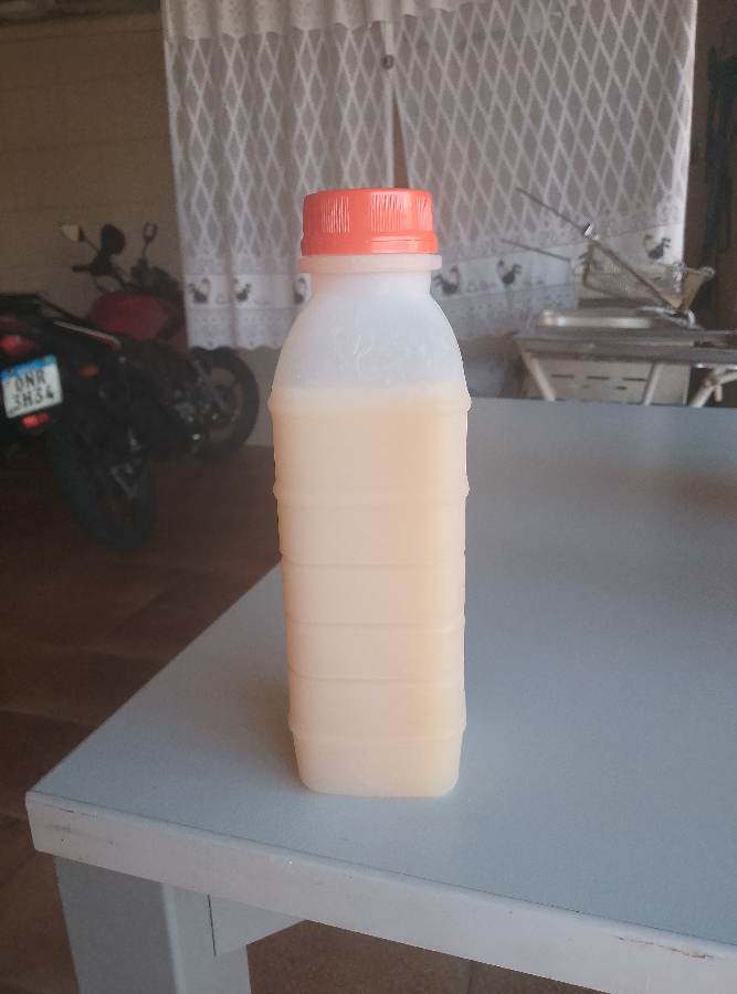 Suco De Manga