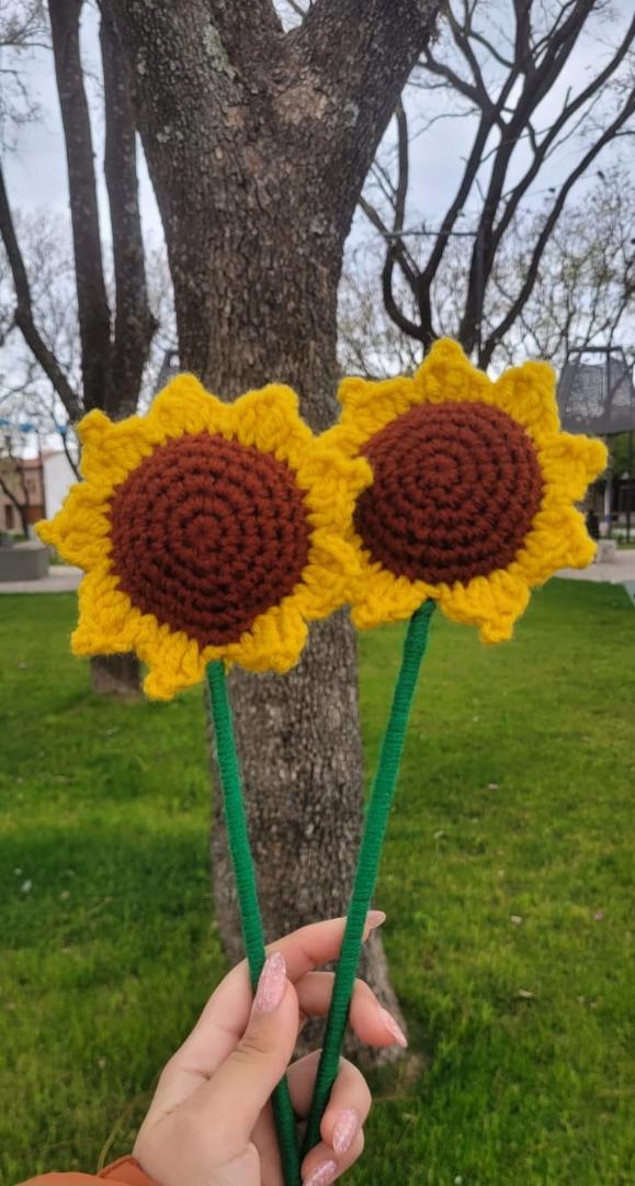 Girasoles