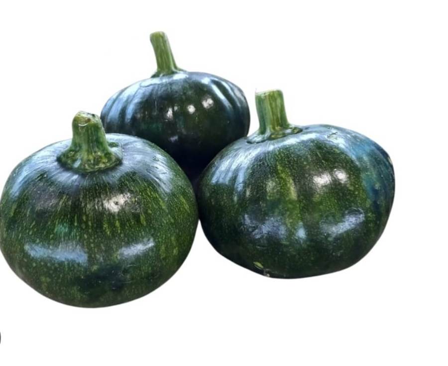 Ayote